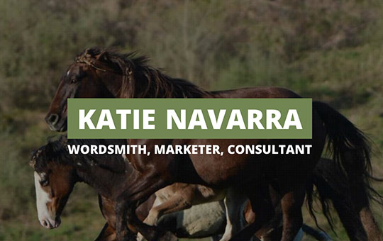 Katie Navarra website